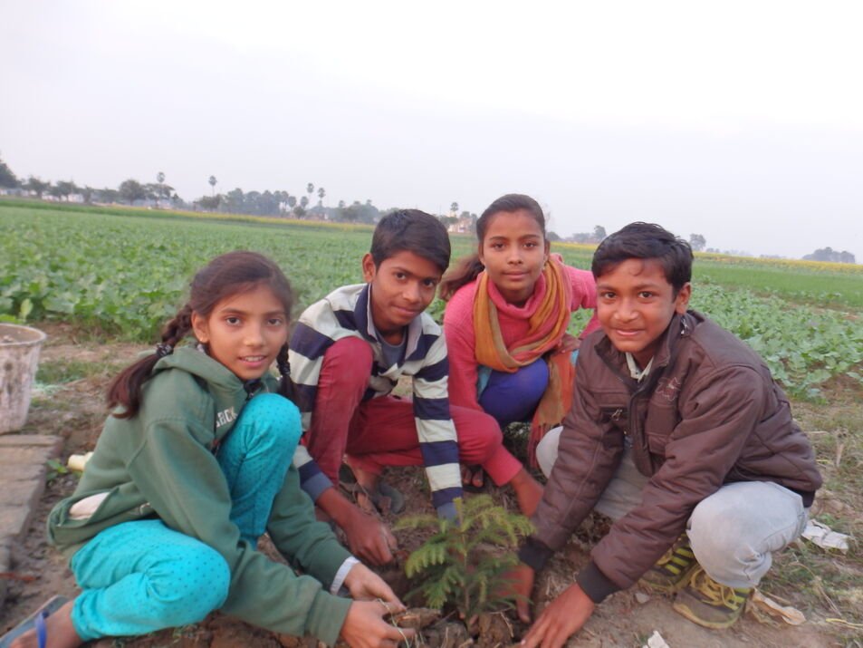 Plantation by Village Children